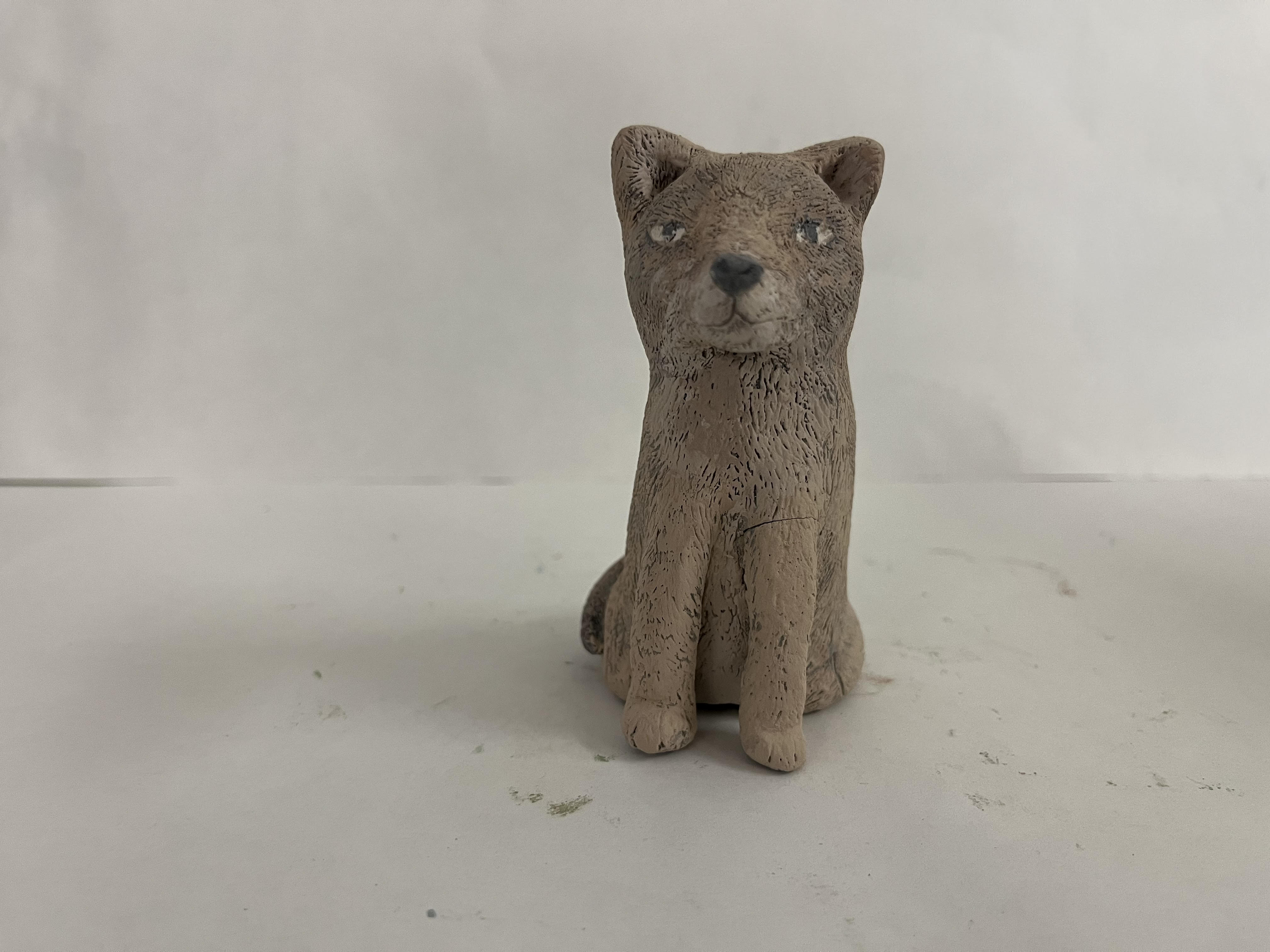 Unfired coyote
