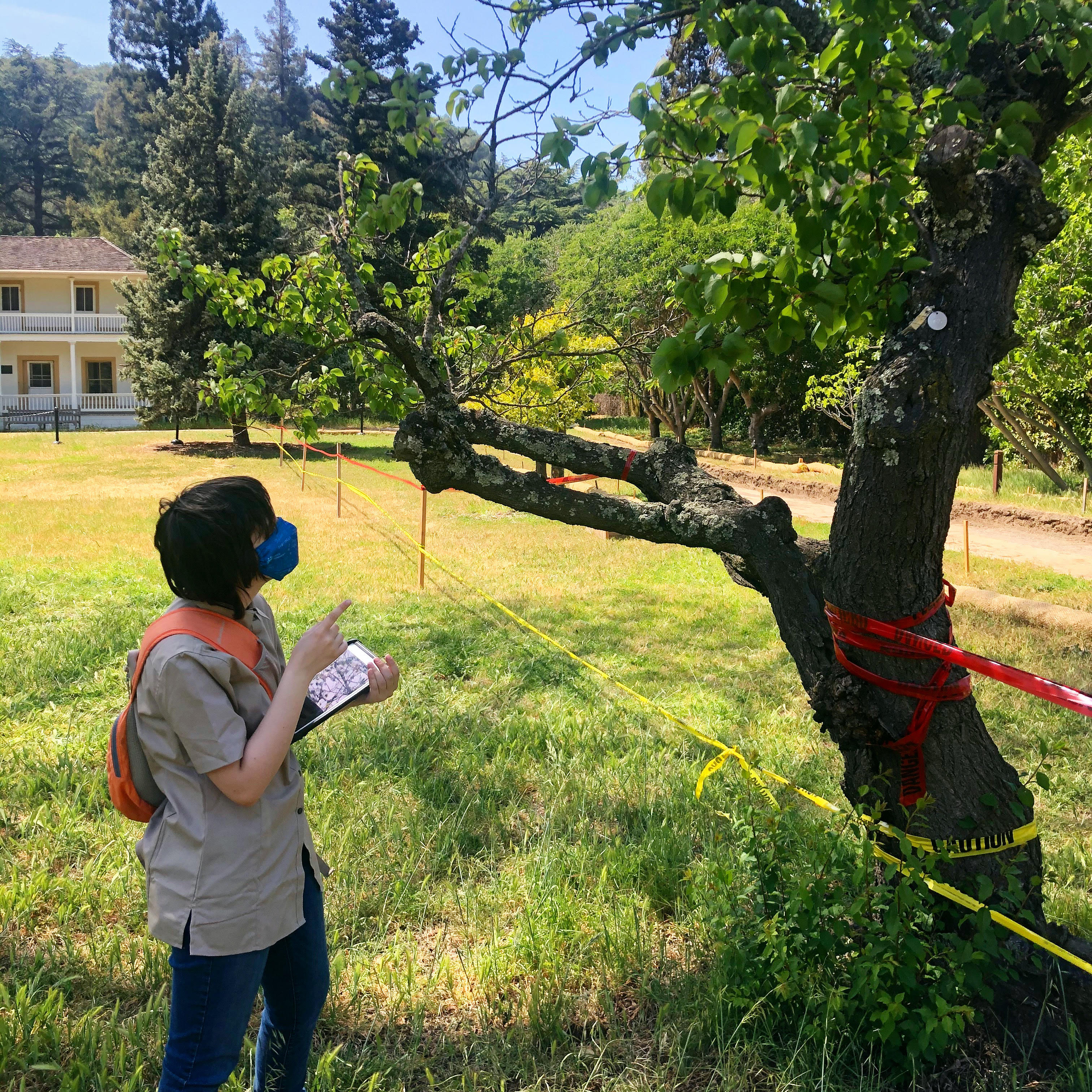 Mia looks up at a tree