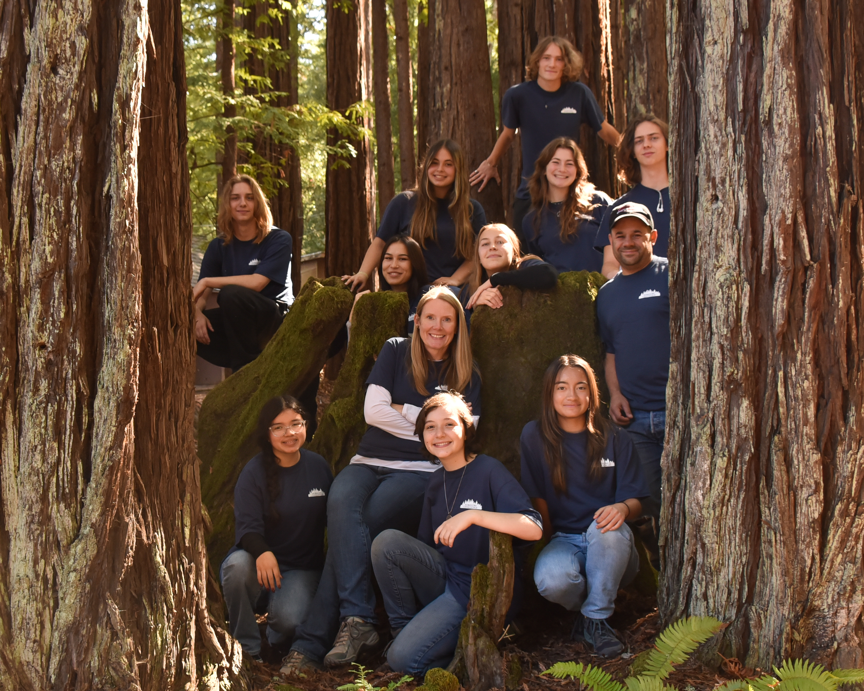 Forestry teams 9 and 10