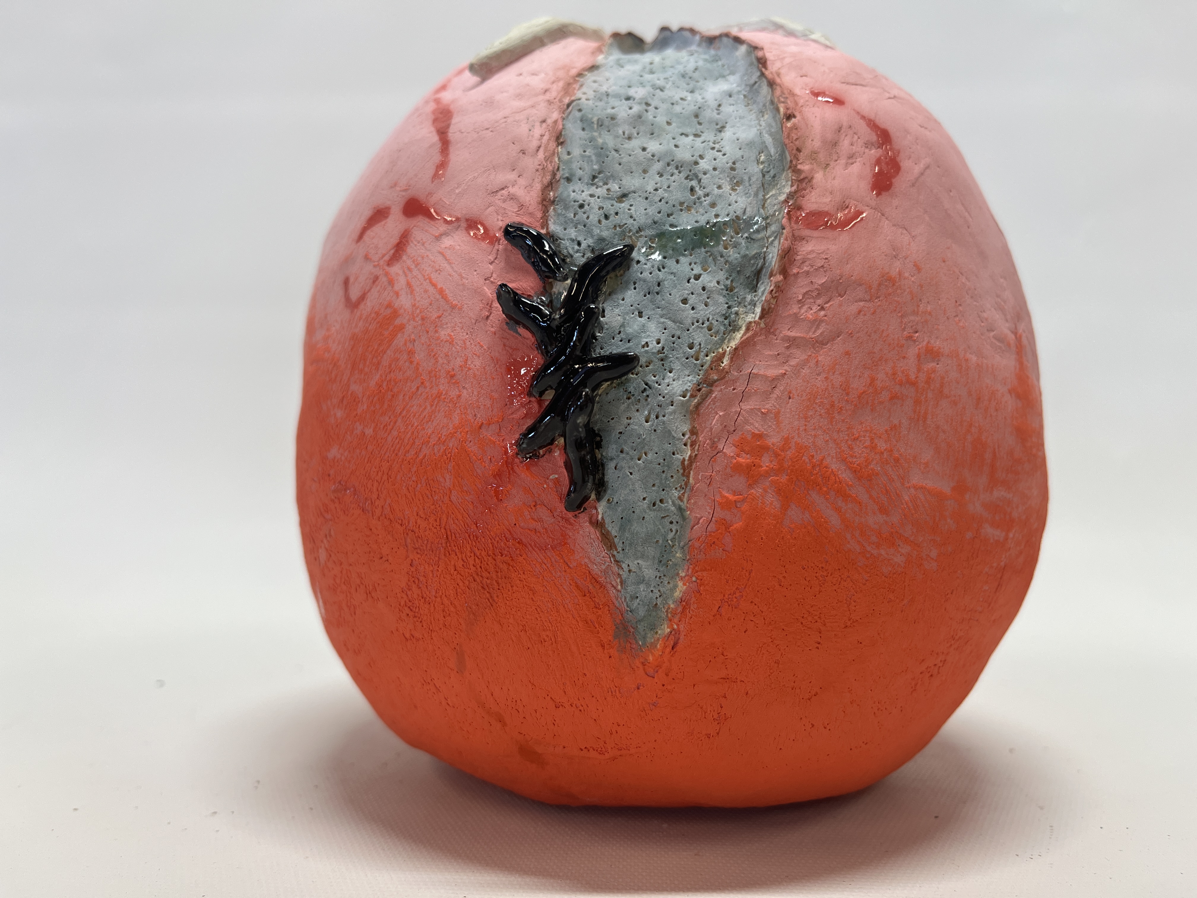 A close up of the moldy split of the tomato